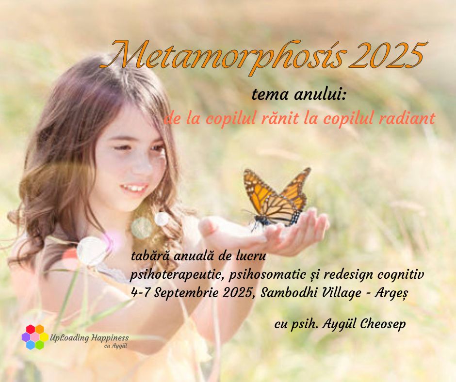 metamorphosis 2025 fb